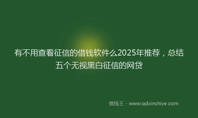 有不用查看征信的借钱软件么2025年推荐，总结五个无视黑白征信的网贷