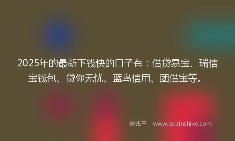 2025年的最新下钱快的口子有：借贷易宝、瑞信宝钱包、贷你无忧、蓝鸟信用、团借宝等。