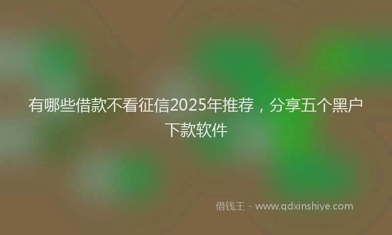 有哪些借款不看征信2025年推荐，分享五个黑户下款软件