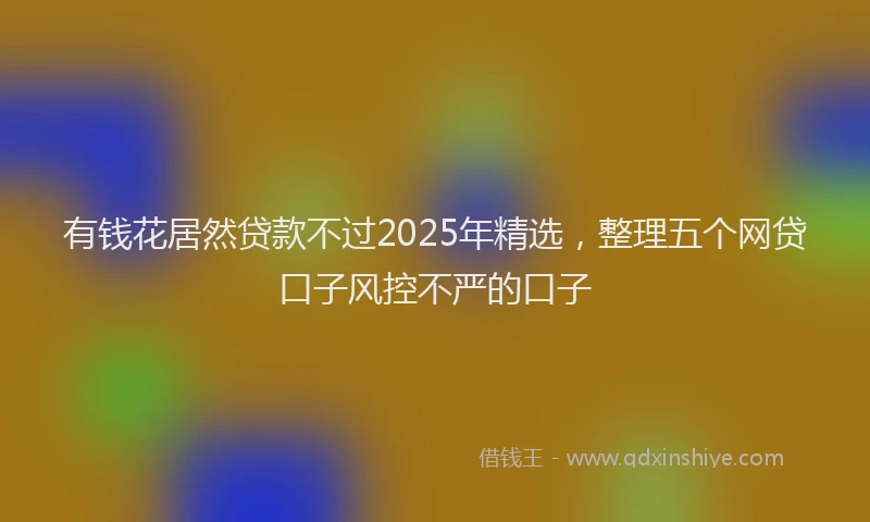 有钱花居然贷款不过2025年精选，整理五个网贷口子风控不严的口子
