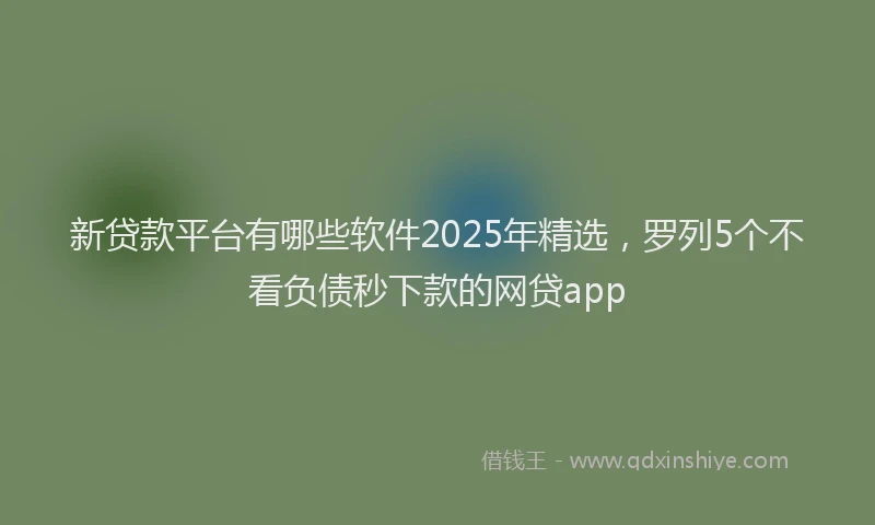 新贷款平台有哪些软件2025年精选，罗列5个不看负债秒下款的网贷app