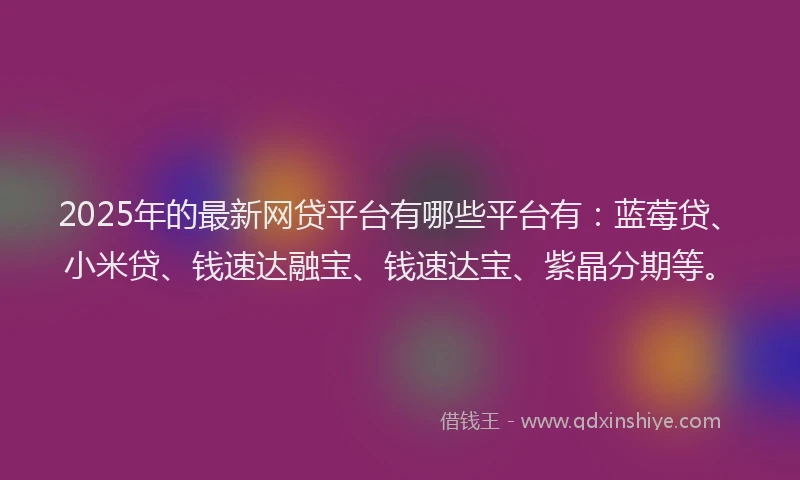2025年的最新网贷平台有哪些平台有：蓝莓贷、小米贷、钱速达融宝、钱速达宝、紫晶分期等。