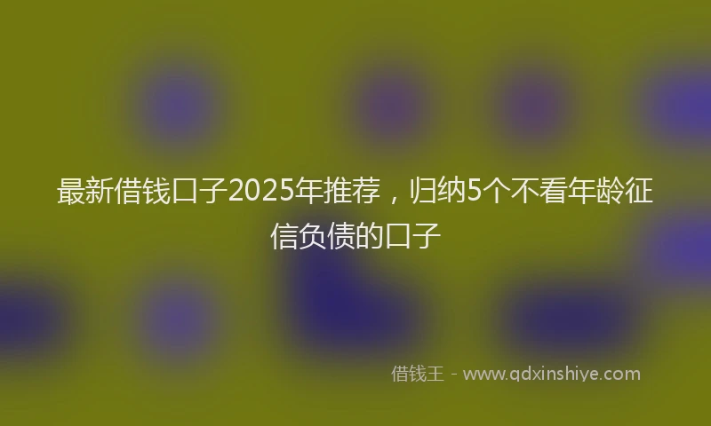 最新借钱口子2025年推荐，归纳5个不看年龄征信负债的口子