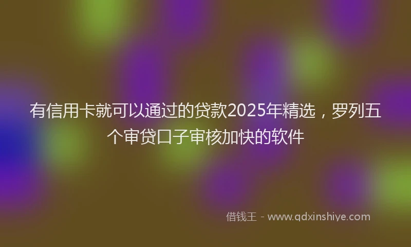有信用卡就可以通过的贷款2025年精选，罗列五个审贷口子审核加快的软件