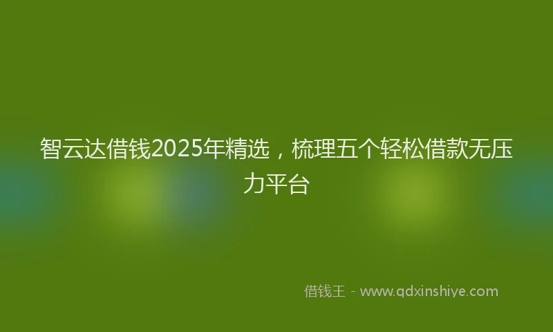 智云达借钱2025年精选，梳理五个轻松借款无压力平台