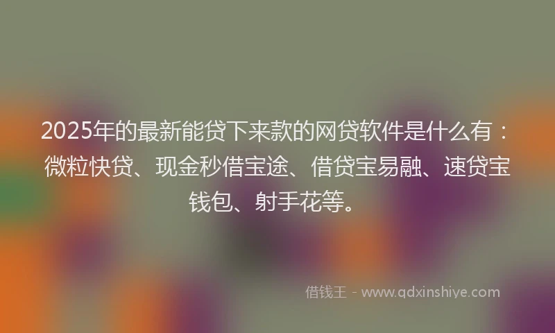 2025年的最新能贷下来款的网贷软件是什么有：微粒快贷、现金秒借宝途、借贷宝易融、速贷宝钱包、射手花等。