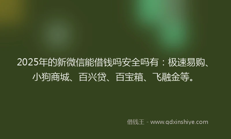 2025年的新微信能借钱吗安全吗有：极速易购、小狗商城、百兴贷、百宝箱、飞融金等。