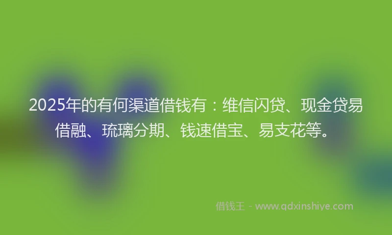 2025年的有何渠道借钱有：维信闪贷、现金贷易借融、琉璃分期、钱速借宝、易支花等。