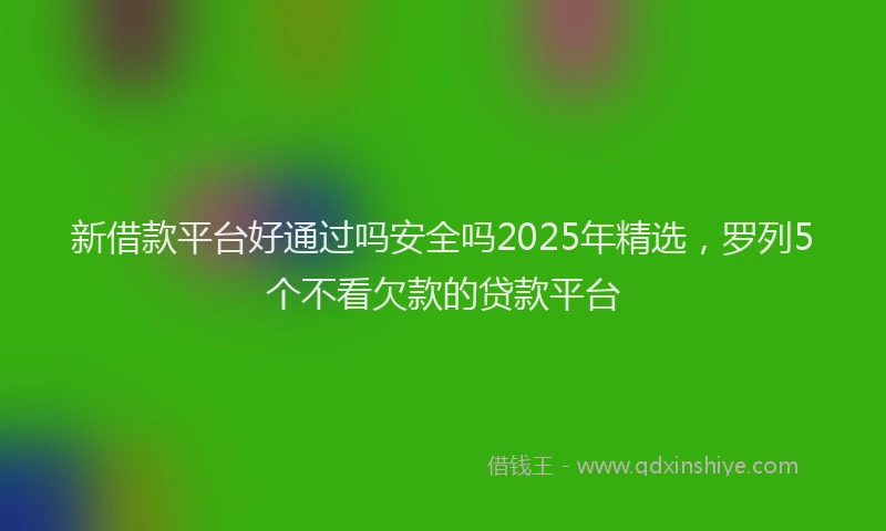 新借款平台好通过吗安全吗2025年精选，罗列5个不看欠款的贷款平台