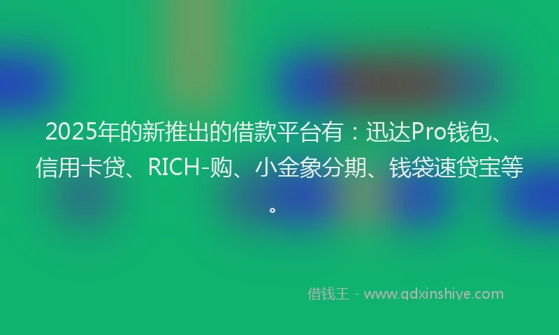 2025年的新推出的借款平台有：迅达Pro钱包、信用卡贷、RICH-购、小金象分期、钱袋速贷宝等。