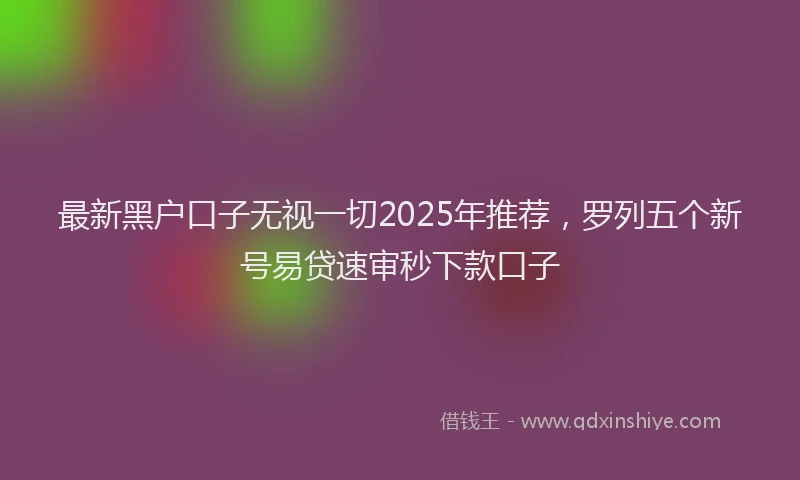 最新黑户口子无视一切2025年推荐，罗列五个新号易贷速审秒下款口子