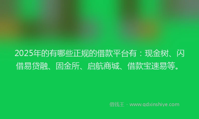 2025年的有哪些正规的借款平台有：现金树、闪借易贷融、固金所、启航商城、借款宝速易等。