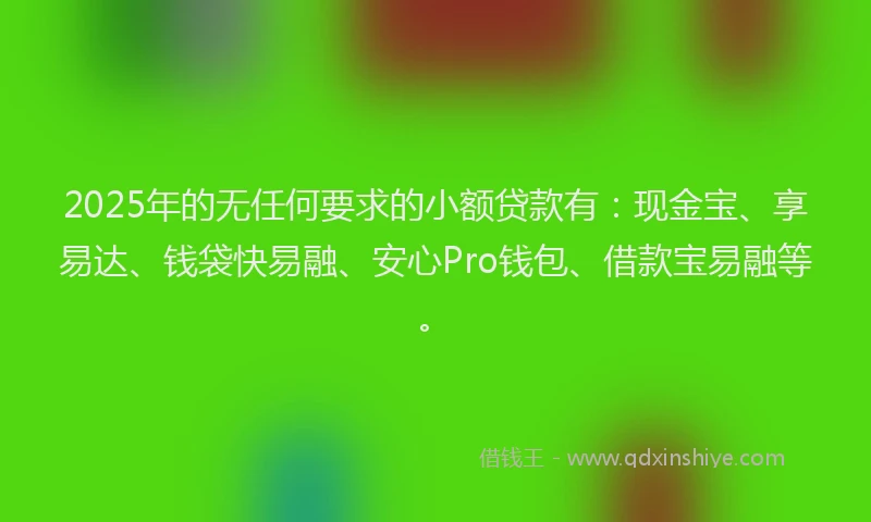 2025年的无任何要求的小额贷款有：现金宝、享易达、钱袋快易融、安心Pro钱包、借款宝易融等。