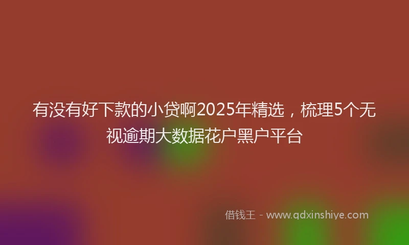 有没有好下款的小贷啊2025年精选，梳理5个无视逾期大数据花户黑户平台