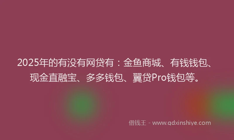 2025年的有没有网贷有：金鱼商城、有钱钱包、现金直融宝、多多钱包、翼贷Pro钱包等。