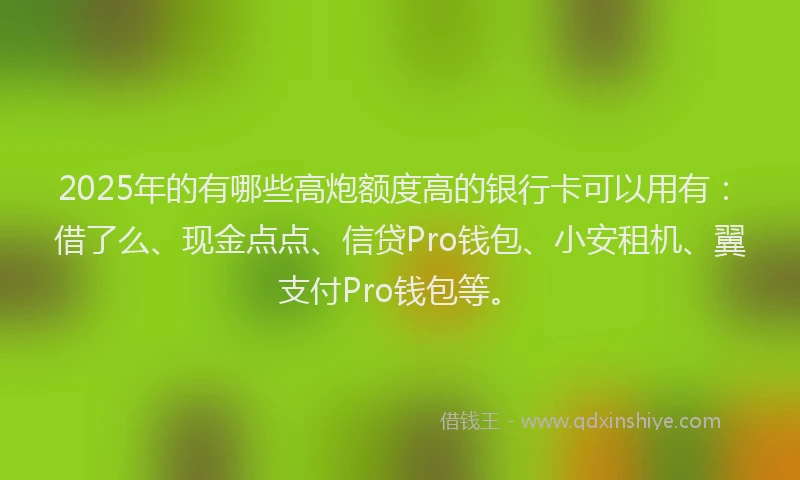2025年的有哪些高炮额度高的银行卡可以用有：借了么、现金点点、信贷Pro钱包、小安租机、翼支付Pro钱包等。