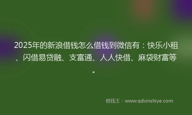 2025年的新浪借钱怎么借钱到微信有：快乐小租、闪借易贷融、支富通、人人快借、麻袋财富等。