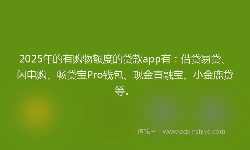 2025年的有购物额度的贷款app有：借贷易贷、闪电购、畅贷宝Pro钱包、现金直融宝、小金鹿贷等。