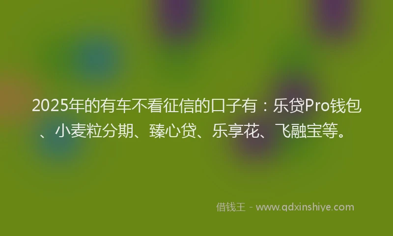 2025年的有车不看征信的口子有：乐贷Pro钱包、小麦粒分期、臻心贷、乐享花、飞融宝等。
