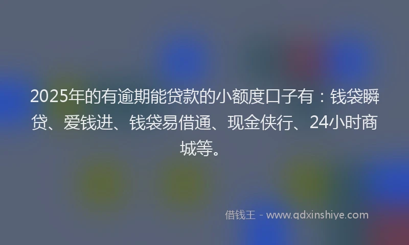 2025年的有逾期能贷款的小额度口子有：钱袋瞬贷、爱钱进、钱袋易借通、现金侠行、24小时商城等。