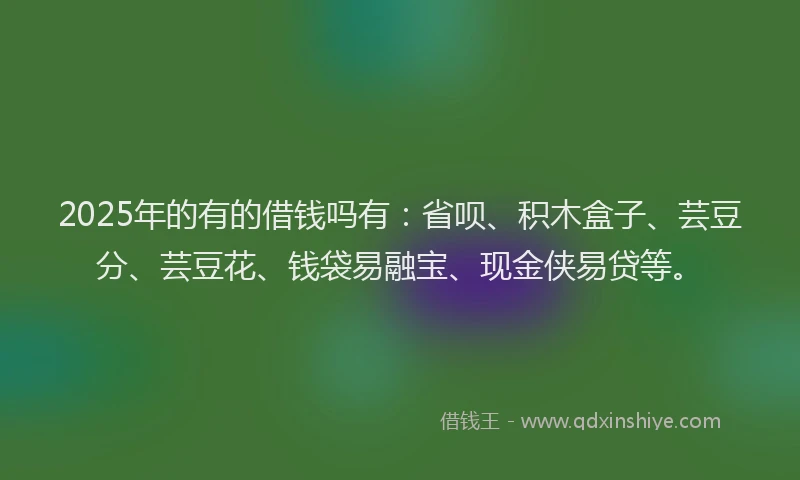 2025年的有的借钱吗有：省呗、积木盒子、芸豆分、芸豆花、钱袋易融宝、现金侠易贷等。