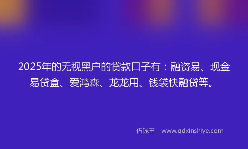 2025年的无视黑户的贷款口子有：融资易、现金易贷盒、爱鸿森、龙龙用、钱袋快融贷等。