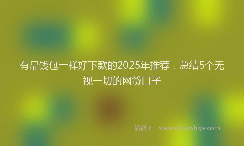 有品钱包一样好下款的2025年推荐，总结5个无视一切的网贷口子