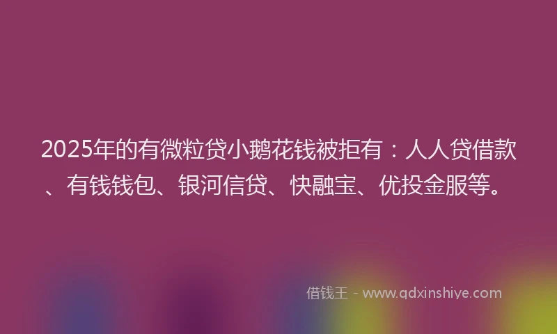 2025年的有微粒贷小鹅花钱被拒有：人人贷借款、有钱钱包、银河信贷、快融宝、优投金服等。