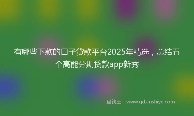 有哪些下款的口子贷款平台2025年精选，总结五个高能分期贷款app新秀