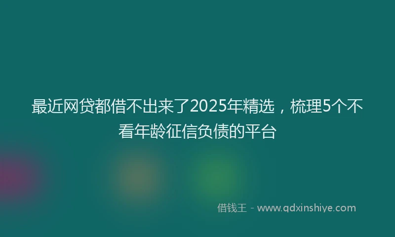最近网贷都借不出来了2025年精选，梳理5个不看年龄征信负债的平台