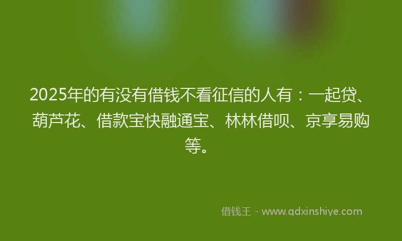 2025年的有没有借钱不看征信的人有：一起贷、葫芦花、借款宝快融通宝、林林借呗、京享易购等。