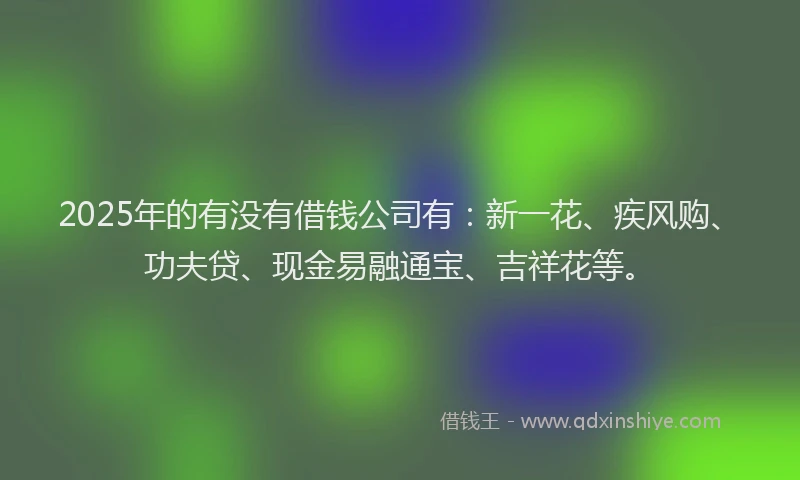 2025年的有没有借钱公司有：新一花、疾风购、功夫贷、现金易融通宝、吉祥花等。