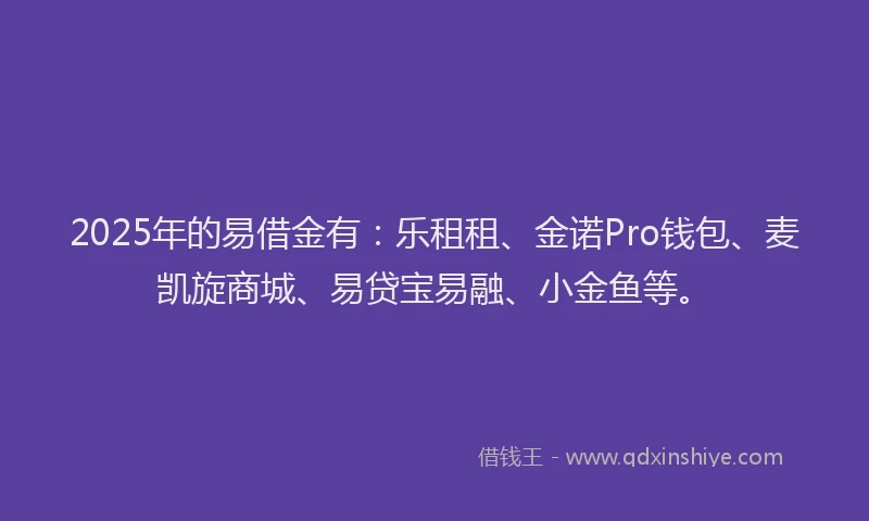 2025年的易借金有：乐租租、金诺Pro钱包、麦凯旋商城、易贷宝易融、小金鱼等。