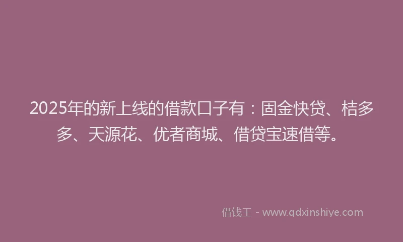 2025年的新上线的借款口子有：固金快贷、桔多多、天源花、优者商城、借贷宝速借等。