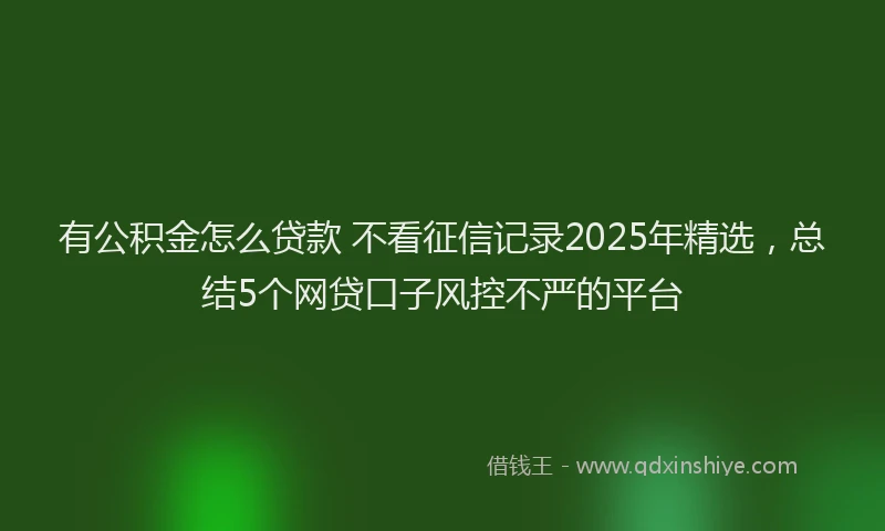 有公积金怎么贷款 不看征信记录2025年精选，总结5个网贷口子风控不严的平台