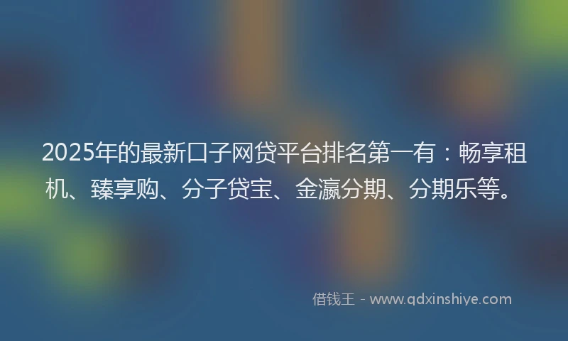 2025年的最新口子网贷平台排名第一有：畅享租机、臻享购、分子贷宝、金瀛分期、分期乐等。