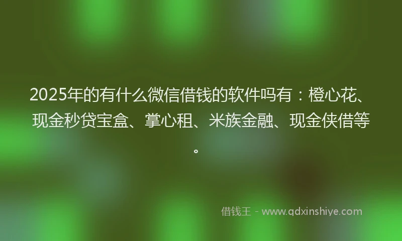 2025年的有什么微信借钱的软件吗有：橙心花、现金秒贷宝盒、掌心租、米族金融、现金侠借等。
