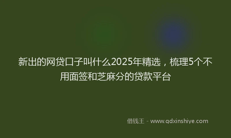 新出的网贷口子叫什么2025年精选，梳理5个不用面签和芝麻分的贷款平台