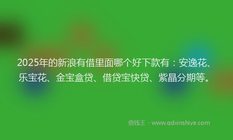 2025年的新浪有借里面哪个好下款有：安逸花、乐宝花、金宝盒贷、借贷宝快贷、紫晶分期等。