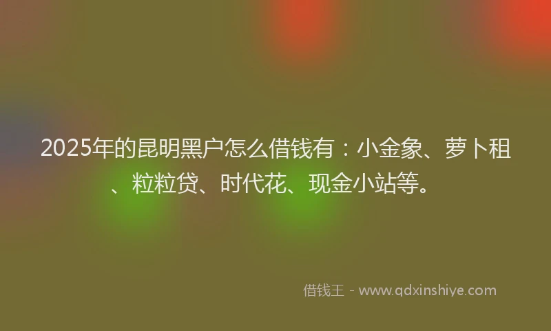 2025年的昆明黑户怎么借钱有：小金象、萝卜租、粒粒贷、时代花、现金小站等。