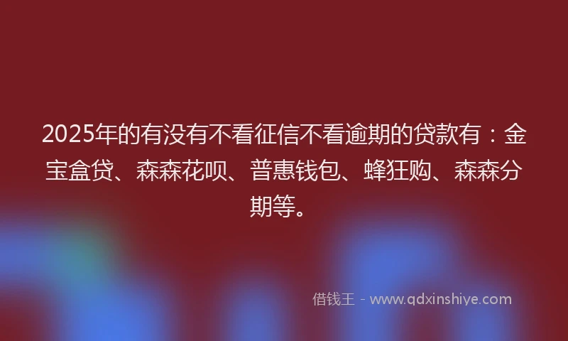2025年的有没有不看征信不看逾期的贷款有：金宝盒贷、森森花呗、普惠钱包、蜂狂购、森森分期等。