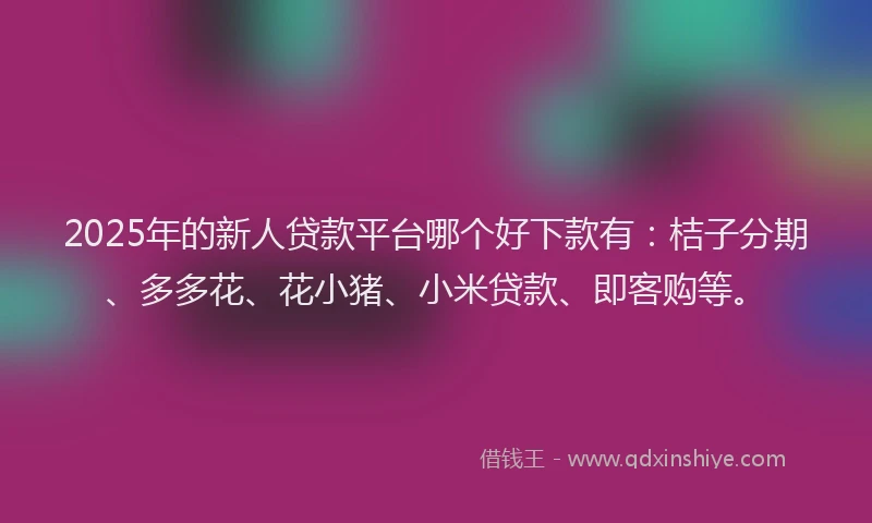 2025年的新人贷款平台哪个好下款有：桔子分期、多多花、花小猪、小米贷款、即客购等。