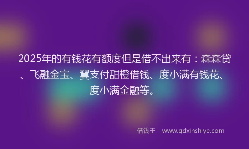 2025年的有钱花有额度但是借不出来有：森森贷、飞融金宝、翼支付甜橙借钱、度小满有钱花、度小满金融等。