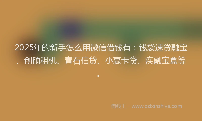 2025年的新手怎么用微信借钱有：钱袋速贷融宝、创硕租机、青石信贷、小赢卡贷、疾融宝盒等。