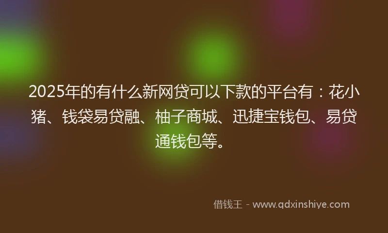 2025年的有什么新网贷可以下款的平台有：花小猪、钱袋易贷融、柚子商城、迅捷宝钱包、易贷通钱包等。