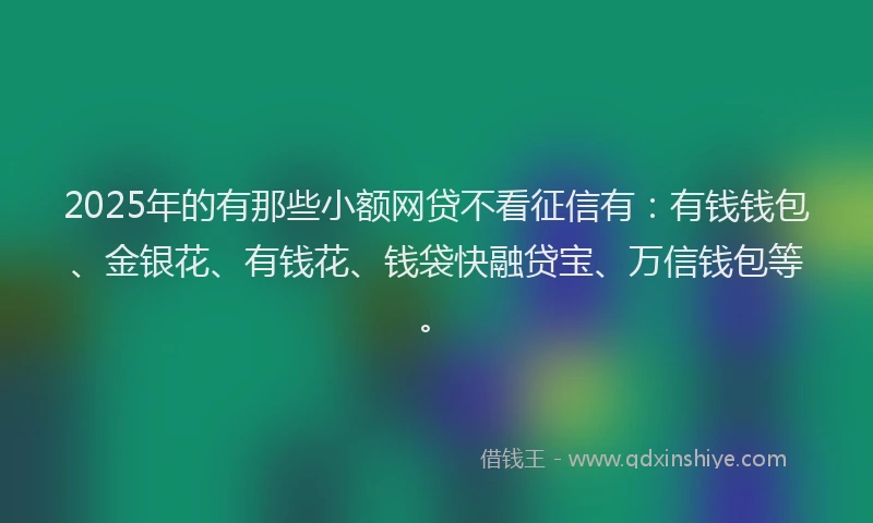 2025年的有那些小额网贷不看征信有：有钱钱包、金银花、有钱花、钱袋快融贷宝、万信钱包等。