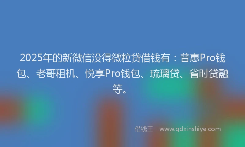 2025年的新微信没得微粒贷借钱有：普惠Pro钱包、老哥租机、悦享Pro钱包、琉璃贷、省时贷融等。