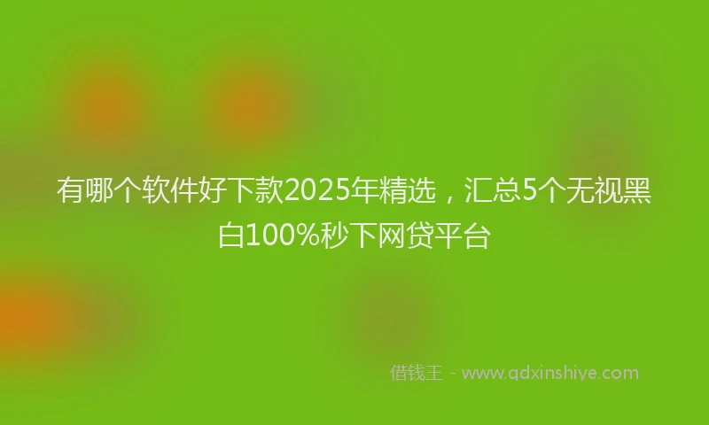 有哪个软件好下款2025年精选，汇总5个无视黑白100%秒下网贷平台