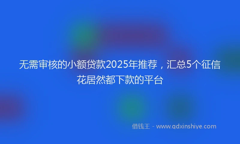 无需审核的小额贷款2025年推荐，汇总5个征信花居然都下款的平台