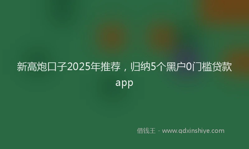 新高炮口子2025年推荐，归纳5个黑户0门槛贷款app
